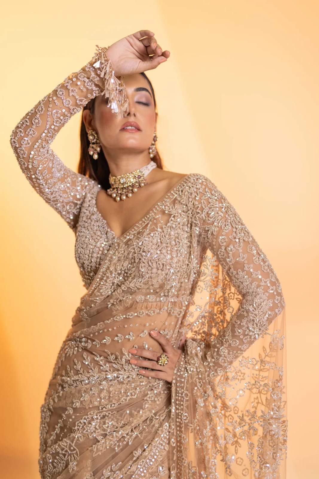 Butterfly Net Saree for Women