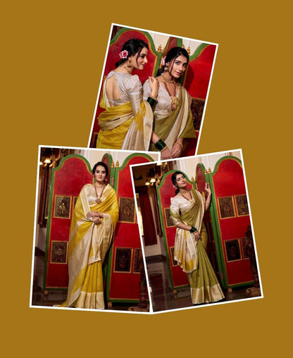 Designer Saree for Parties, Wedding & Events