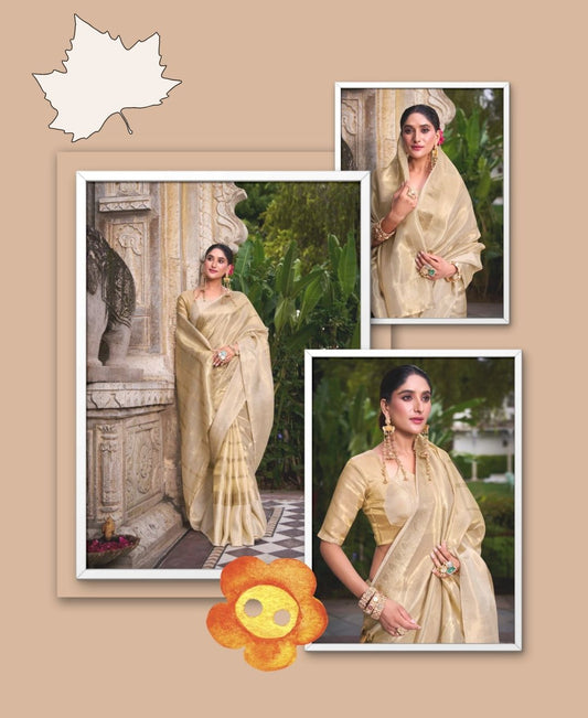 Designer Saree for Parties, Wedding & Events