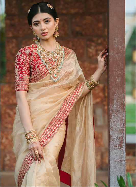 Champagne Gold Soft Organza Saree with Sequins & Dori Embroidery Work