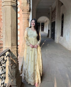 Embroidered Designer Anarkali Gown