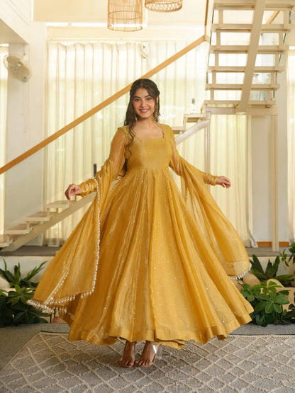 Full-Length Party Wear Gown Set