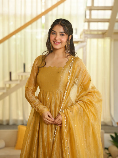Full-Length Party Wear Gown Set