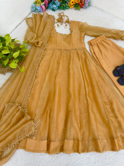 Full-Length Party Wear Gown Set