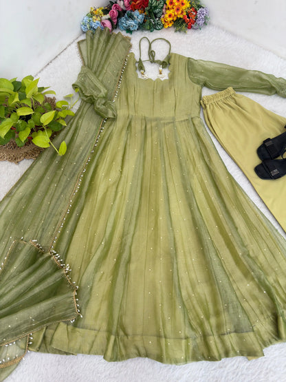 Full-Length Party Wear Gown Set