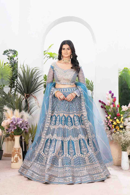 Designer Embroidered Net Lehenga Choli for Special Events