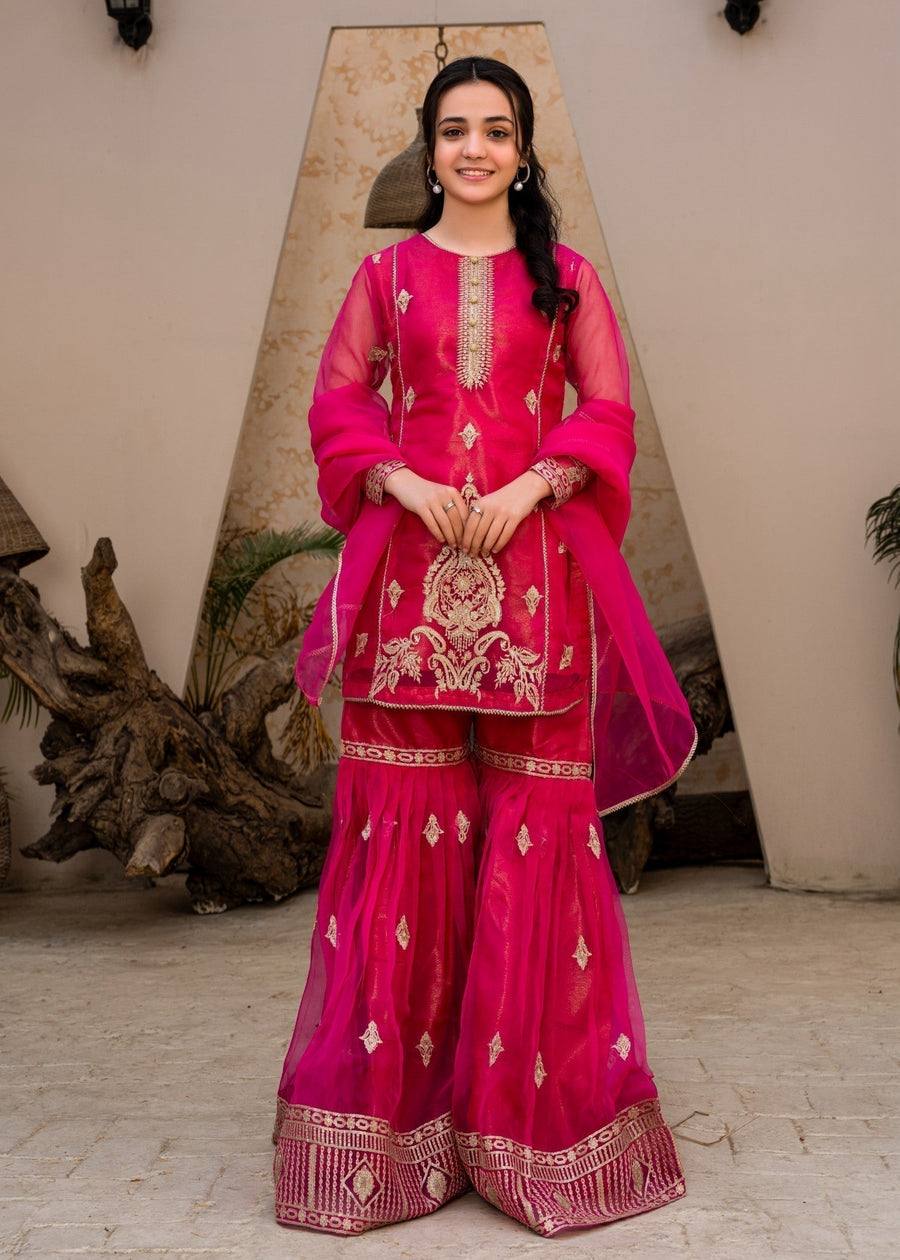 Hot Pink Embroidered Sharara Suit for Wedding & Festive