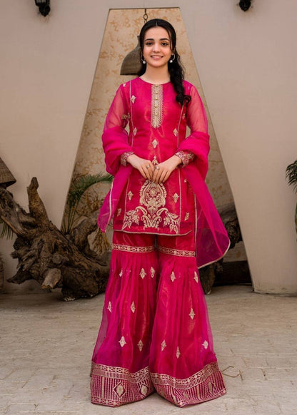 Hot Pink Embroidered Sharara Suit for Wedding & Festive