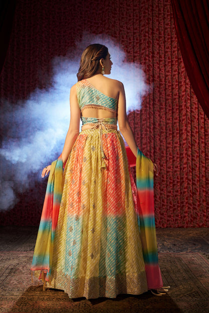 Organza Embroidered Lehenga Set for Weddings & Events