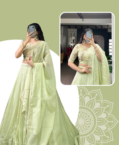 Pastel Pistachio Organza Lehenga Set