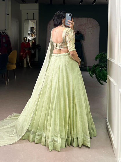 Pastel Pistachio Organza Lehenga Set
