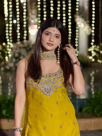 Premium Festive Sharara Suit